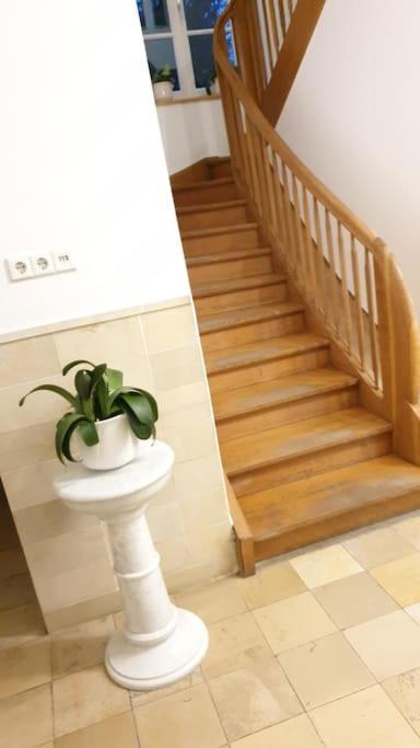 Ferienwohnung In Der Villa Sana Mit Grossem Garten Rofingen Exterior foto