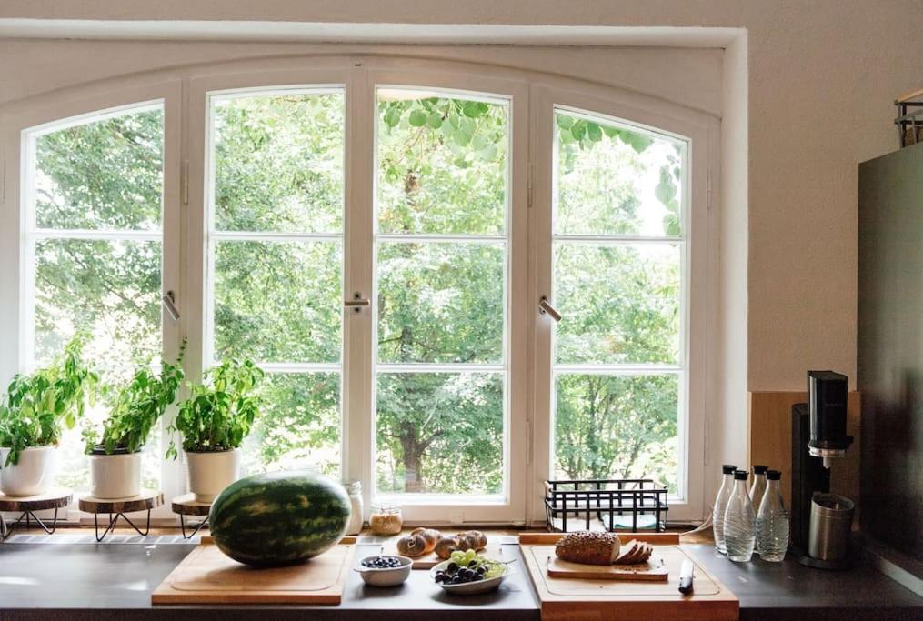 Ferienwohnung In Der Villa Sana Mit Grossem Garten Rofingen Exterior foto
