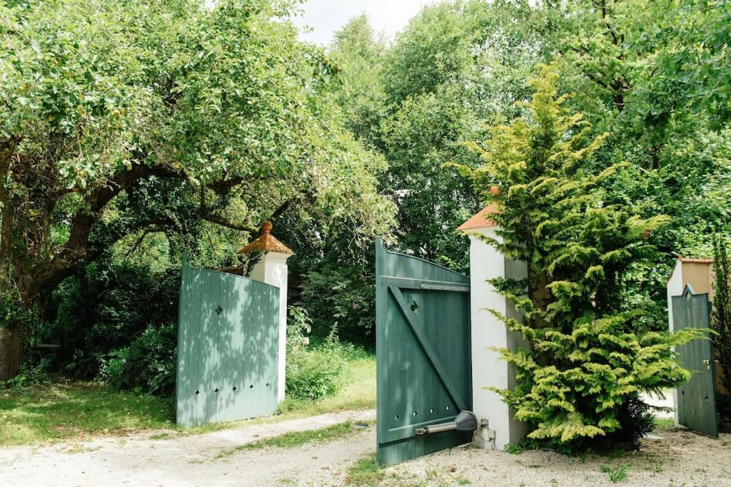 Ferienwohnung In Der Villa Sana Mit Grossem Garten Rofingen Exterior foto