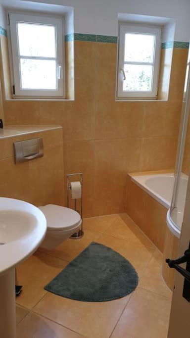 Ferienwohnung In Der Villa Sana Mit Grossem Garten Rofingen Exterior foto